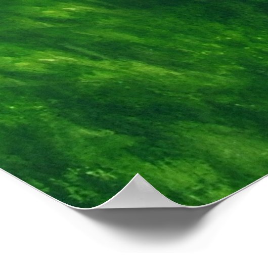 Honey Delight Print (Hoek)