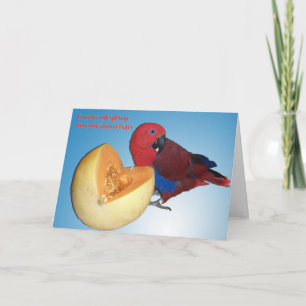 Honey Do Lijst Kaart