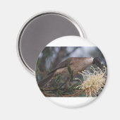 Honey Eater Magneet (Voorkant / Achterkant)