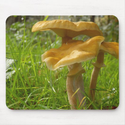 Honey Fungus Mouse Mat Muismat (Voorkant)