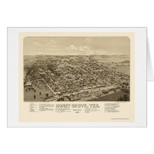 Honey Grove, TX Panoramic Map - 1886