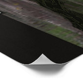 Honey Island Swamp Monster A Louisiana Legend Poster (Hoek)