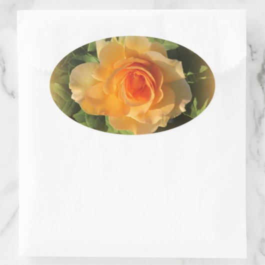 Honey Parfum Roos Stickers (Tas)