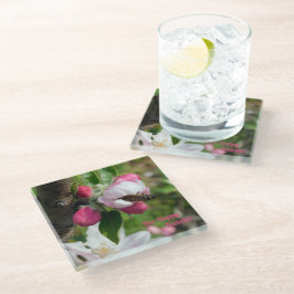 Honeybee & Apple Blossom | Fine Art Glass Coasters Glazen Onderzetter