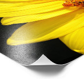 Honeybee Bezoek een zonnebloem Foto Afdruk (Hoek)