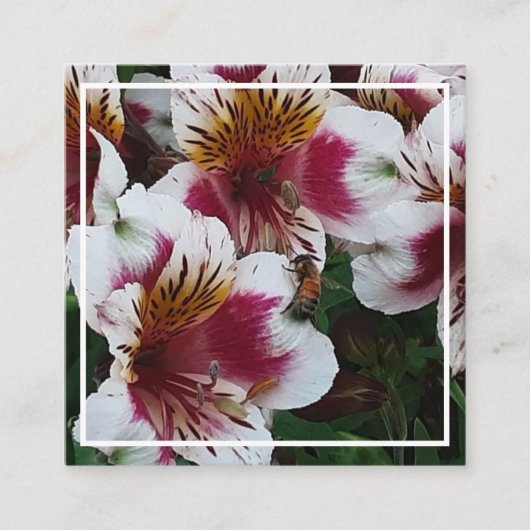 Honeybee en Alstromerias Enclosure Kaart (Voorkant)