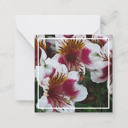 Honeybee en Alstromerias Notitiekaartje (Voorkant)