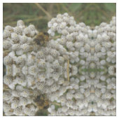 Honeybee en blowers patterned Animal Fabric Stof (Close Up)