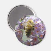 Honeybee en Buddleia Flowers Magnet (Voorkant / Achterkant)