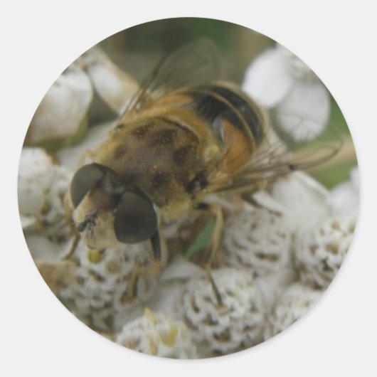 Honeybee en Flowers Sticker (Voorkant)