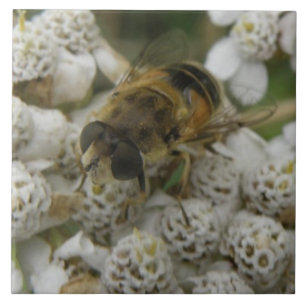 Honeybee en Flowers Tile Tegeltje