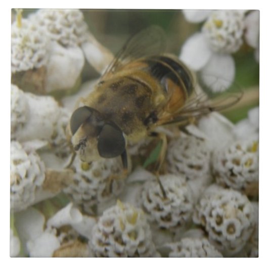 Honeybee en Flowers Tile Tegeltje (Voorkant)