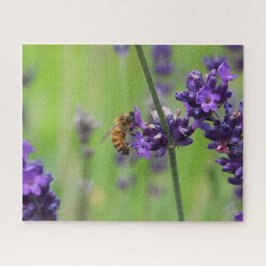 Honeybee Harvesting Lavender Blossom Legpuzzel (Horizontaal)