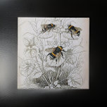 HoneyBee Illustratie | Tegeltje<br><div class="desc">HoneyBee Illustratie | keramische tegel  natuur illustratie van de nederige honingbij Vervaagde ivoren achtergrond potloodtekening met zwart en geel gestreepte honingbijen voeden zich met stuifmeel</div>