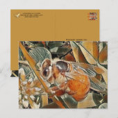 HONEYBEE IN CLOVER - BRIEFKAART (Voorkant / Achterkant)