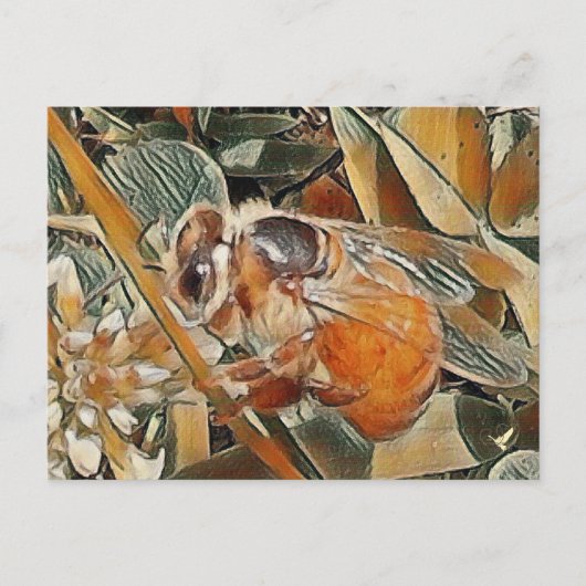 HONEYBEE IN CLOVER - BRIEFKAART (Voorkant)