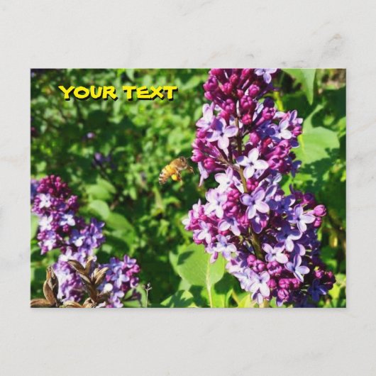 Honeybee Loves Lilacs Briefkaart (Voorkant)