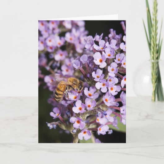 HoneyBee on a Butterfly Bush card Feestdagen Kaart (Voorkant)