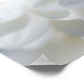 Honeybee on a Dahlia Poster (Hoek)