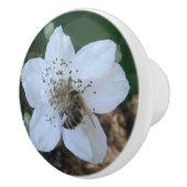 Honeybee on blackberry flower keramische knop (Rechts)