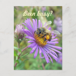 Honeybee op Asters Quick "Hi" Briefkaart