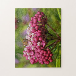 Honeybee op Narrowleaf Milkweed Legpuzzel
