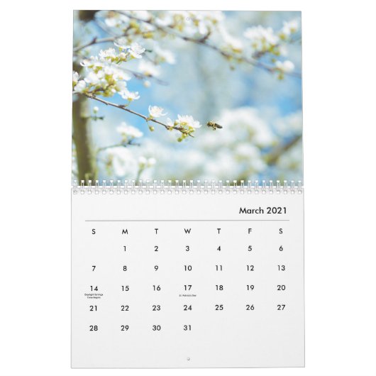 Honeybee Wall Agenda Kalender (Mar 2021)