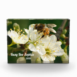 Honeybee & White Plum Macro | Custom Photo Block Fotoblokken