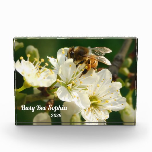 Honeybee & White Plum Macro | Custom Photo Block Fotoblokken (Voorkant)