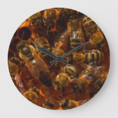 HONEYBEES 7 BUCKLE GROTE KLOK (Voorkant)