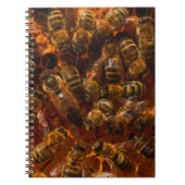 HONEYBES 7 NOTITIEBOEK (Voorkant)