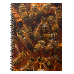 HONEYBES 7 NOTITIEBOEK