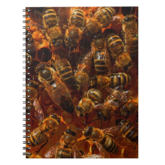 HONEYBES 7 NOTITIEBOEK (Voorkant)