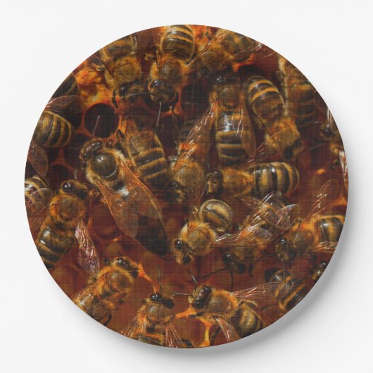 HONEYBES 7 PAPIEREN BORDJE (Voorkant)