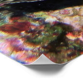 Honeycomb Grouper Poster (Hoek)