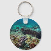 Honeycomb moray sleutelhanger (Voorkant)