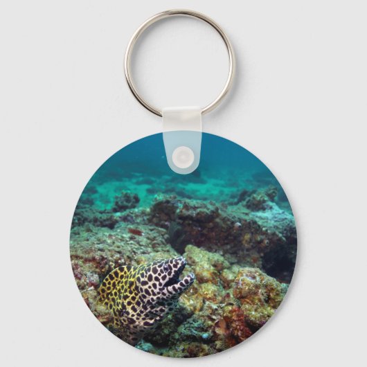 Honeycomb moray sleutelhanger (Voorkant)