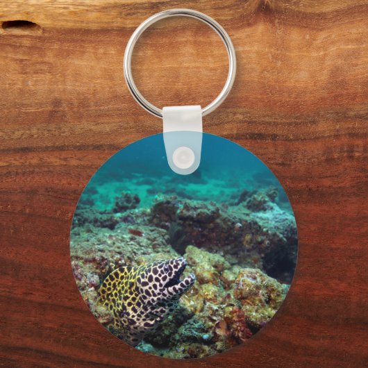 Honeycomb moray sleutelhanger (Voorkant)