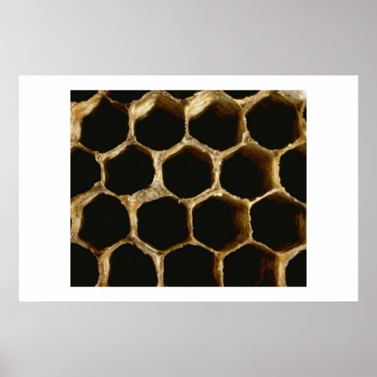Honeycomb Poster (Voorkant)