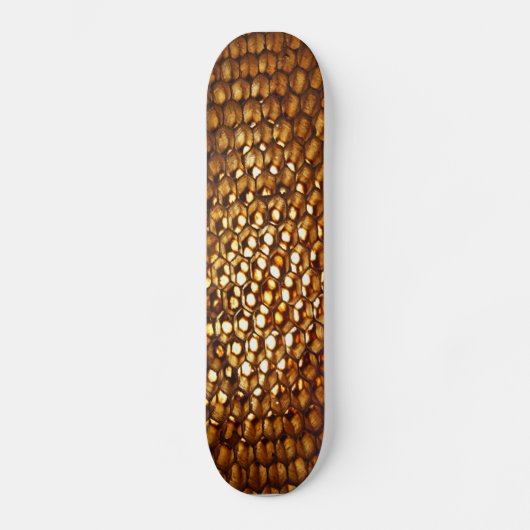 Honeycomb Skateboard (Voorkant)