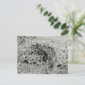 Honeycomb Weathering Briefkaart (Staand voorkant)