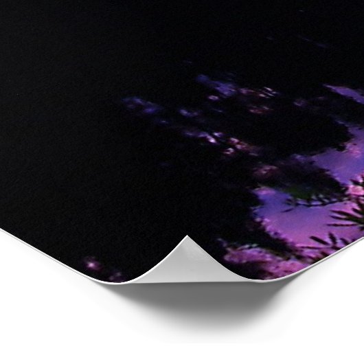 Honeyman Campground Florence, Oregon Poster (Hoek)