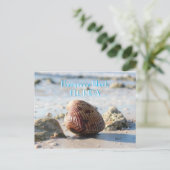 Honeymoon Island, Florida strand seashell Briefkaart (Staand voorkant)