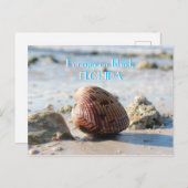 Honeymoon Island, Florida strand seashell Briefkaart (Voorkant / Achterkant)