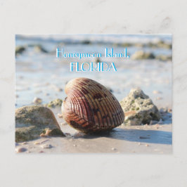 Honeymoon Island, Florida strand seashell Briefkaart