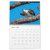 Honeymoon Island Osprey 2026 Kalender (Mar 2027)