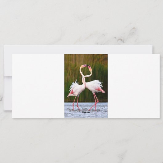 Honeymoon-kaart voor beste wensen feestdagenkaart (Achterkant)