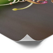 Honeysuckle [Art Print] Poster (Hoek)