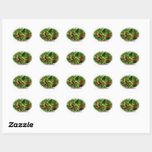 Honeysuckle Berries Kerst stickers (Vel)