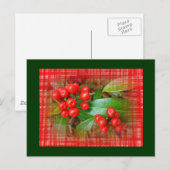Honeysuckle Berries op katoenkatoen Briefkaart (Voorkant / Achterkant)
